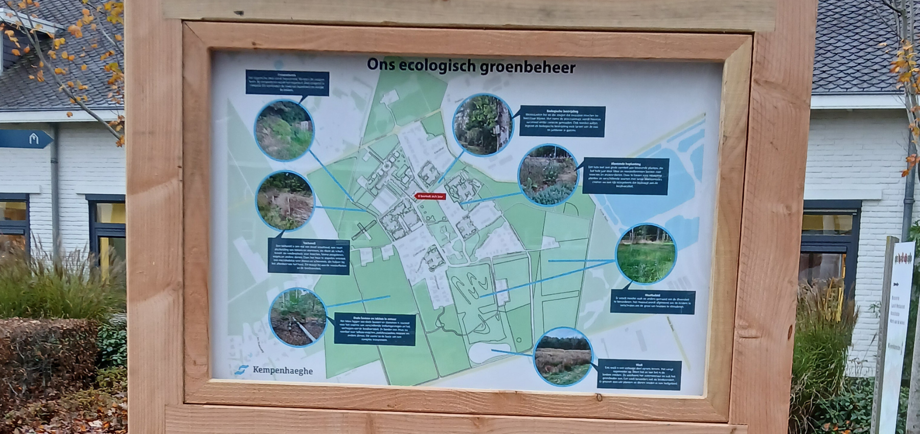 Ecologisch groenbeheer