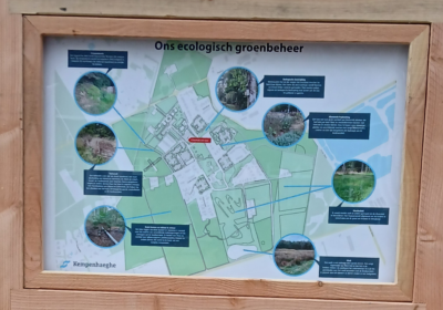 Ecologisch groenbeheer